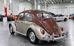 1965 Beetle Thumbnail 4