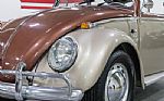 1965 Beetle Thumbnail 21