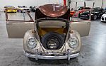 1965 Beetle Thumbnail 32