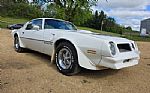 1976 Trans Am Thumbnail 2