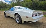 1976 Trans Am Thumbnail 6