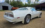 1976 Trans Am Thumbnail 4