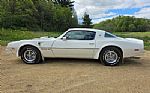 1976 Trans Am Thumbnail 7