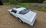 1976 Trans Am Thumbnail 11