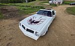 1976 Trans Am Thumbnail 9