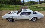 1976 Trans Am Thumbnail 10