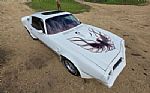 1976 Trans Am Thumbnail 15