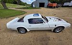 1976 Trans Am Thumbnail 14