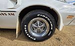 1976 Trans Am Thumbnail 22