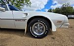 1976 Trans Am Thumbnail 21