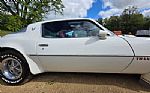 1976 Trans Am Thumbnail 28