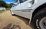 1976 Trans Am Thumbnail 27