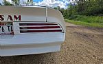 1976 Trans Am Thumbnail 37