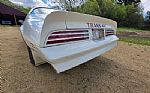 1976 Trans Am Thumbnail 40