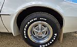 1976 Trans Am Thumbnail 43
