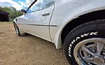 1976 Trans Am Thumbnail 46