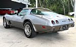 1978 Corvette Thumbnail 8