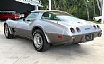 1978 Corvette Thumbnail 8
