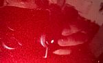 1979 Firebird Formula Thumbnail 45