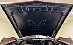 1979 Firebird Formula Thumbnail 47