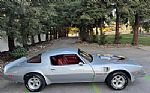 1977 Trans Am Coupe Thumbnail 5