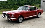 1966 Shelby GT350 Thumbnail 19
