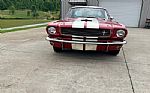 1966 Shelby GT350 Thumbnail 25