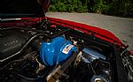 1966 Shelby GT350 Thumbnail 39