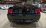 2001 Mustang Bullitt Thumbnail 7