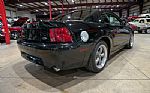 2001 Mustang Bullitt Thumbnail 8