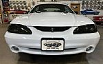 1996 Mustang SVT Cobra Thumbnail 2
