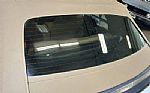 1996 Mustang SVT Cobra Thumbnail 21