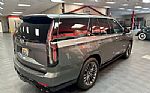 2023 Escalade Thumbnail 5