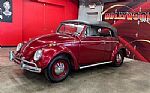 1964 Beetle Convertible Thumbnail 3