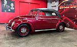 1964 Beetle Convertible Thumbnail 2