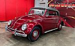 1964 Beetle Convertible Thumbnail 5