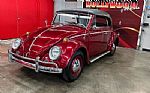 1964 Beetle Convertible Thumbnail 6