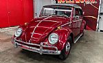 1964 Beetle Convertible Thumbnail 7