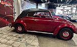 1964 Beetle Convertible Thumbnail 15