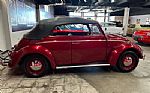 1964 Beetle Convertible Thumbnail 16