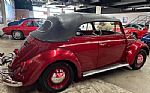1964 Beetle Convertible Thumbnail 18