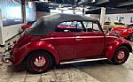 1964 Beetle Convertible Thumbnail 17