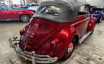 1964 Beetle Convertible Thumbnail 19