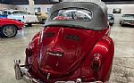 1964 Beetle Convertible Thumbnail 21