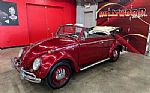 1964 Beetle Convertible Thumbnail 25