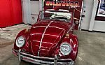 1964 Beetle Convertible Thumbnail 28