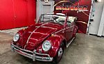1964 Beetle Convertible Thumbnail 27