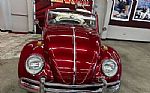 1964 Beetle Convertible Thumbnail 29
