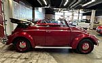 1964 Beetle Convertible Thumbnail 34