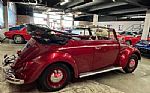 1964 Beetle Convertible Thumbnail 37